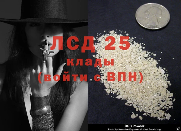 прущие крисы Алексеевка