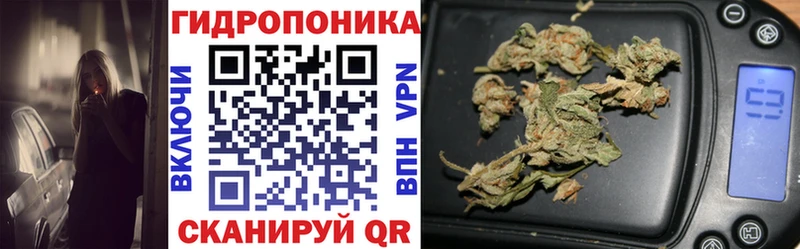 закладка  Кыштым  Канабис индика 